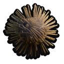Spiky Bur